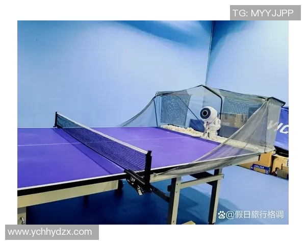 王磊独家分享乒乓球技巧与心得助你提升球技的秘诀与经验