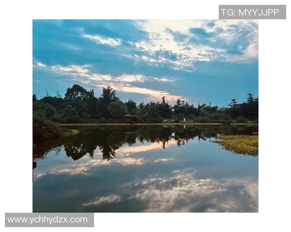 鸟栖沙岩与清风拂面之间的自然和谐与人文交融探讨